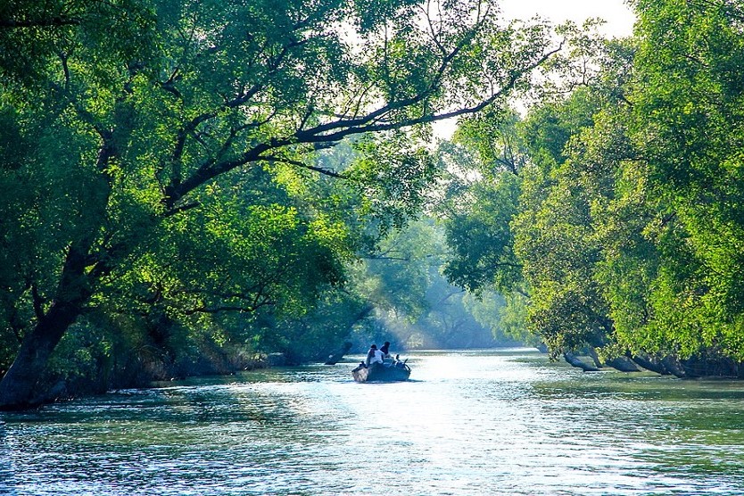 sundarban